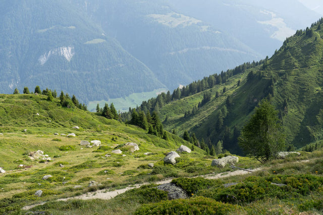 Michael Dunstan - UTMB: Ultra-Trail du Mont-Blanc